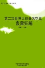 第二次世界大战著名空战  轰雷狂飚