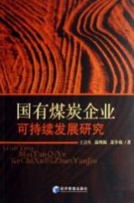 国有煤炭企业可持续发展研究