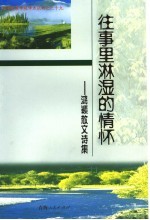 往事里淋湿的情怀  鸿颖散文诗集