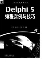 Delphi 5编程实例与技巧