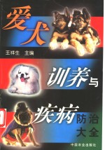 爱犬训养与疾病防治大全