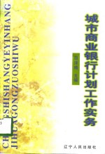 城市商业银行计划工作实务