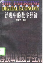 美国商务部报告   浮现中的数字经济