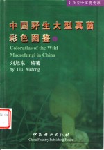 中国野生大型真菌彩色图鉴  1  小兴安岭宝贵资源