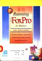 运行Microsoft FoxPro 2.5 for Windows