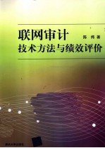 联网审计技术方法与绩效评价