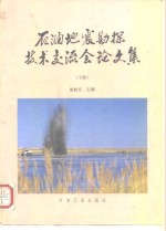 石油地震勘探技术交流会论文集  下