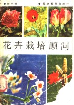 花卉栽培顾问