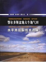 鄂尔多斯盆地大牛地气田水平井压裂技术进展