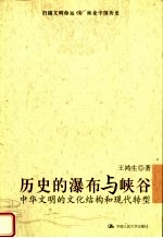 历史的瀑布与峡谷  中华文明的文化结构和现代转型