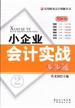 小企业会计实战步步通  图解版