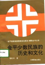 金平少数民族的历史和文化