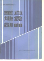 油气勘探专题资料之二垂直地震剖面