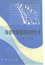 浅层地震勘探应用技术