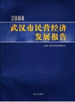 2004武汉市民营经济发展报告