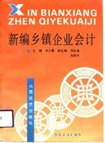 新编乡镇企业会计