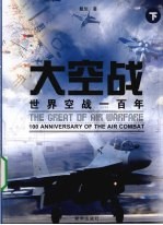 大空战  世界空战100年  下