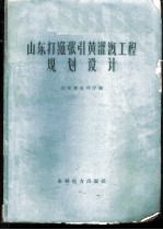 山东打渔张引黄灌溉工程规划设计