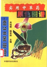 实用中草药原色图谱  3  全草类、叶类、皮类、藤本类、树脂类、藻菌类等