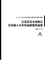 2006年江苏省美术家协会展览画册  江苏省美术家协会首次新人美术作品展览作品集