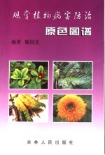 观赏植物病害防治原色图谱