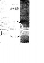 高等财经院校试用教材  审计案例