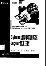 Sybase 组件事务服务器 Jaguar 技术详解