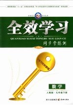 全效学习  同步学练测  数学  九年级  下  人教版