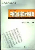 中国企业投资分析报告  2005年版