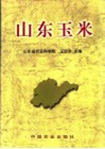 山东玉米