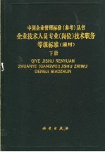 企业技术人员专业  岗位  技术职务等级标准  通用  下