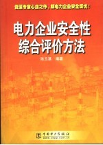 电力企业安全性综合评价方法