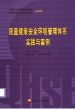 质量健康安全环境管理体系实践与案例