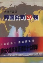 大连开发区跨国公司20强