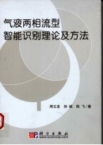 气液两相流型智能识别新理论及方法