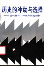 历史的冲动与选择  当代青年工作改革课题解析