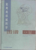 实用局部解剖学图谱