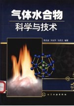 气体水合物科学与技术