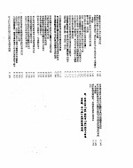 新华社新闻稿  1955年11月28日