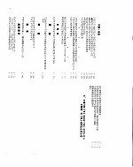 新华社新闻稿  1955年8月8日