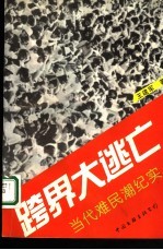 跨界大逃亡  当代难民潮纪实