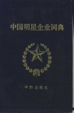 中国明星企业词典