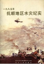 1995年抚顺地区水灾纪实