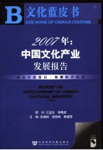 2007年：中国文化产业发展报告