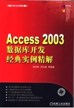 ACCESS 2003数据库开发经典实例精解