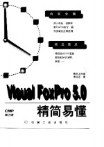 Visual FoxPro 5.0 精简易懂