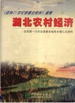 湖北农村经济  全国第一次农业普查全省各乡镇汇总资料