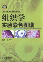 组织学实验彩色图谱