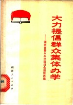 大力提倡群众集体办学  湖南省群众办学现场会经验选编