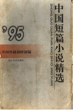 中国短篇小说精选  1995